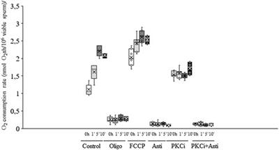 The effects of red LED light on pig sperm function rely upon mitochondrial electron chain activity rather than on a PKC-mediated mechanism